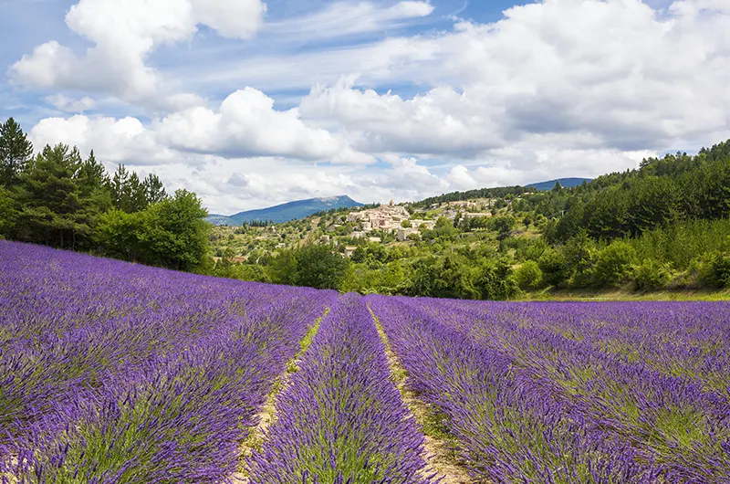 Provence-Alpes-Côte d'Azur